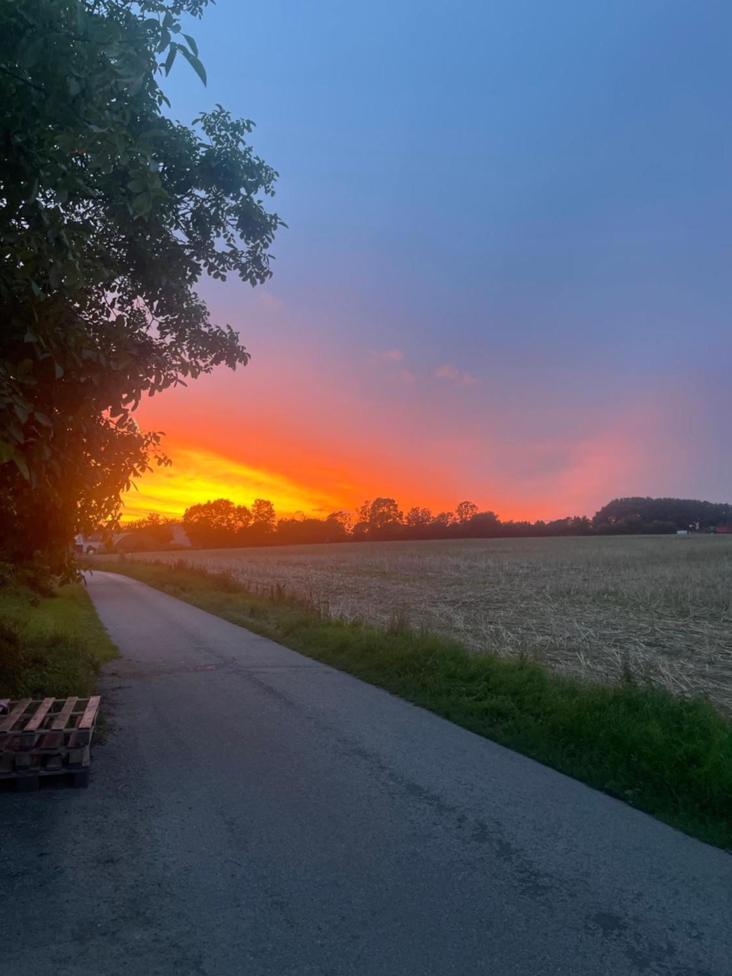 Blackberryhouse Ærøskøbing Екстериор снимка