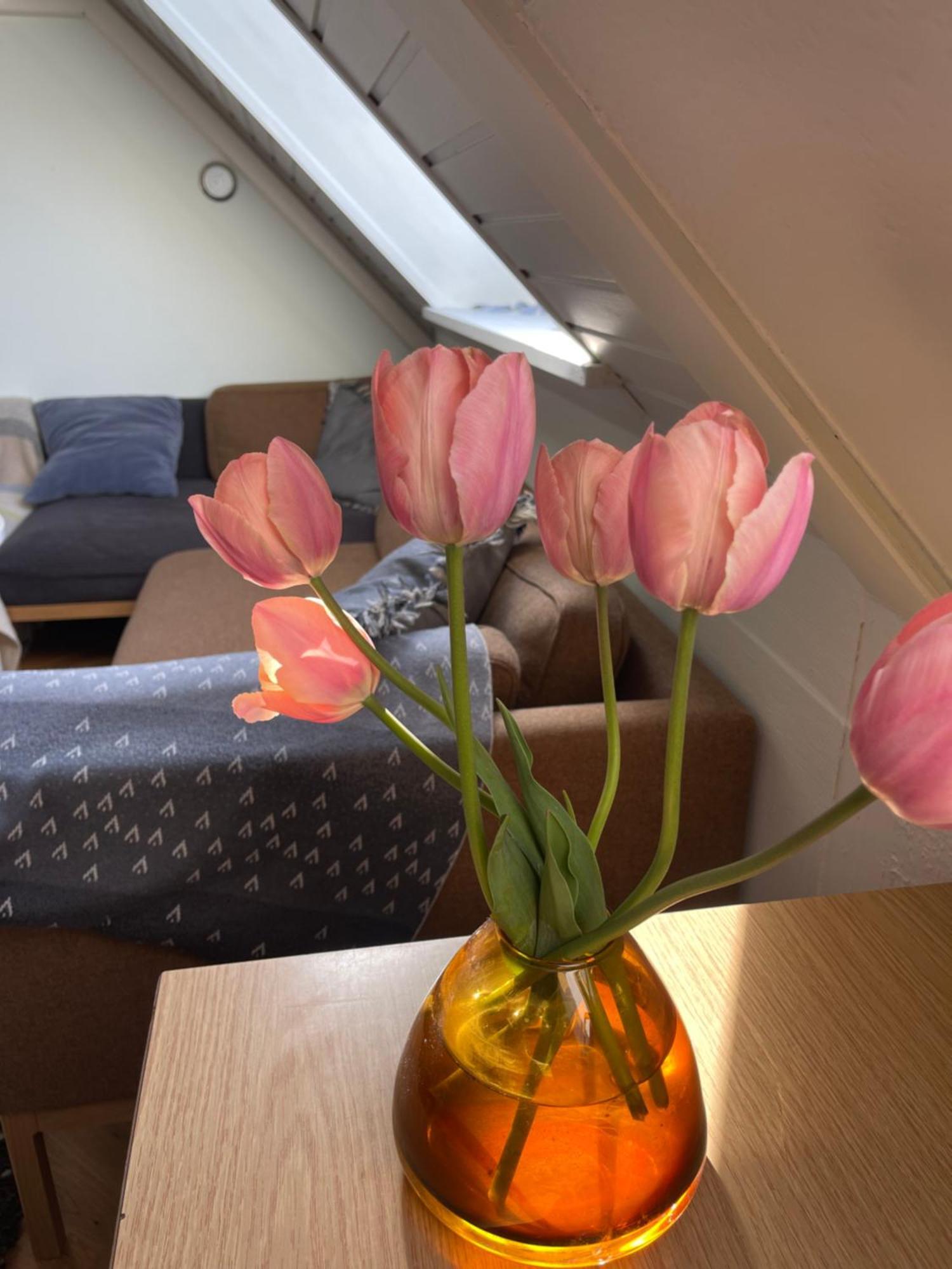 Blackberryhouse Ærøskøbing Екстериор снимка